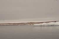
DSC00136